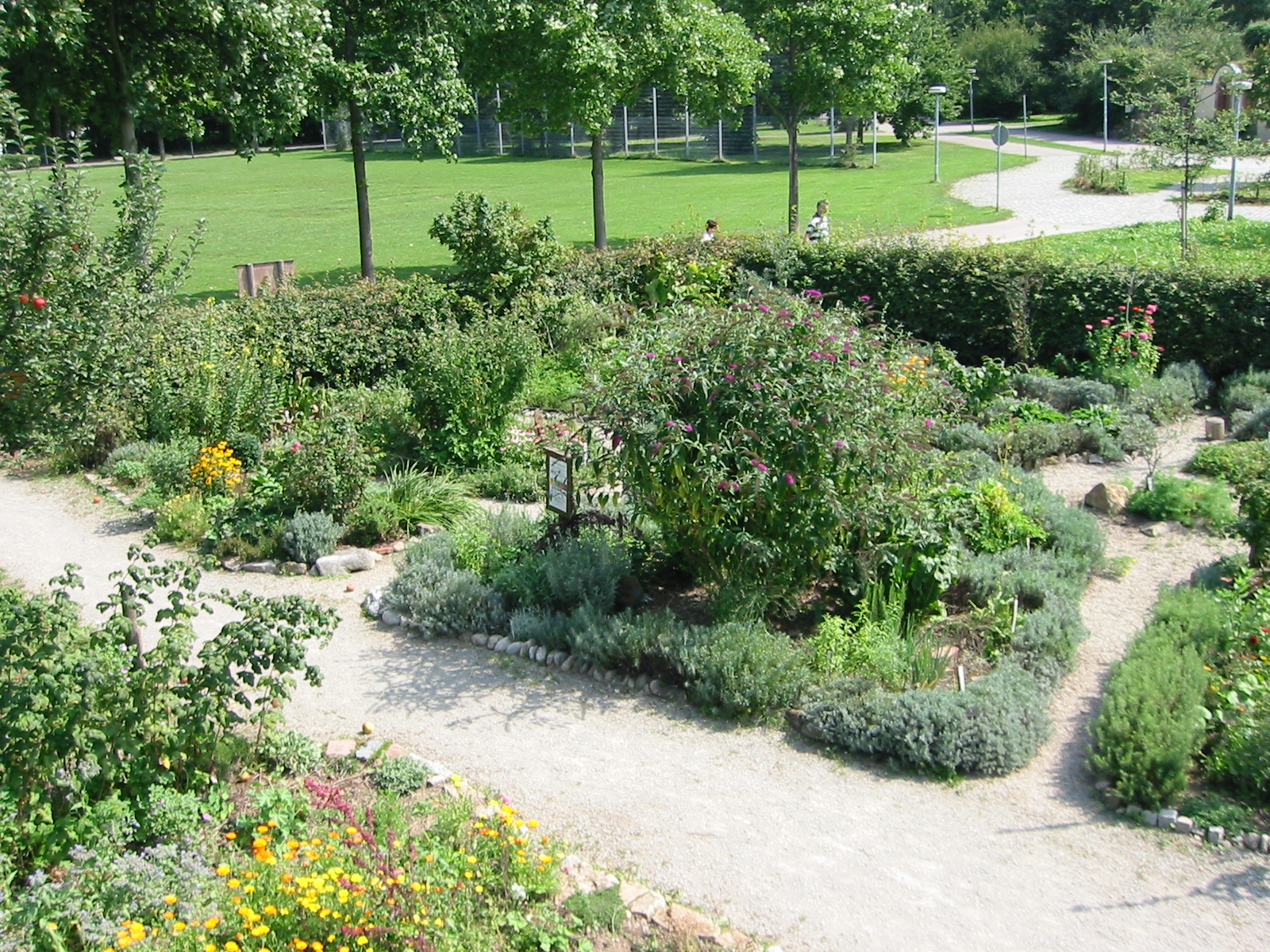 Heilkräutergarten Ökostation