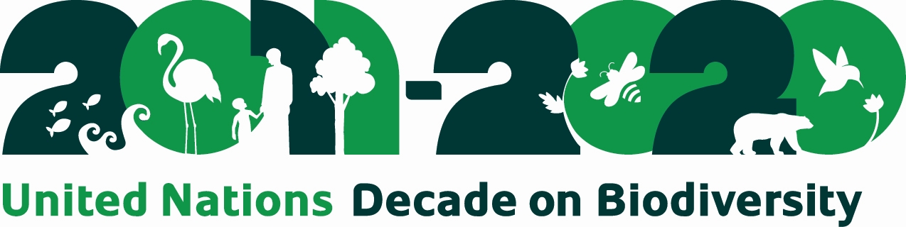 logo_un_dekade_2010