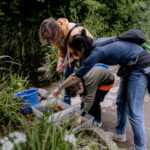 drei Personen beobachten Wassertiere über ein Wasserbecken gebeugt.