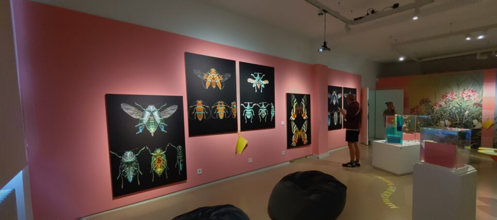 5 riesige Fotografien von Insekten auf schwarzem Grund hängen an einer rsafarbenen Wand.