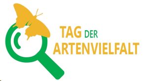 eine grüne Lupe und ein gelber Schmetterling, daneben steht Tag der Artenvielfalt