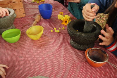 Kinderhände, die Blüten mörsern