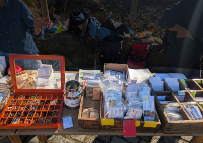 Stand mit Saatgut offen und in Tütchen