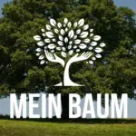 Je mehr Details eine Meldung enthält, desto wertvoller ist sie – für die Bäume, die Forschung und Ihre Stadt. (adempercem / via canva.com)