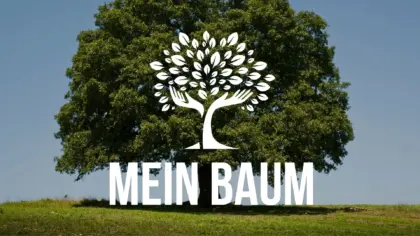 Mitmachen -Bäume entdecken, melden und schützen- gerade jetzt bei Trockenstreß!